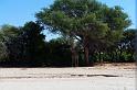 20090604_123836 D3 X1